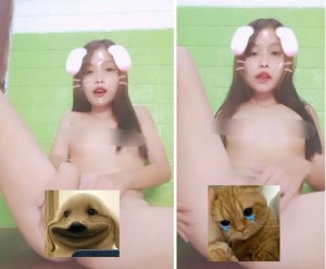 Thỏ xinh bướm nhiều dâm thủy