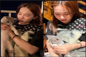Sex mới Bảo Ngọc thích nuôi mèo và cho chim ăn